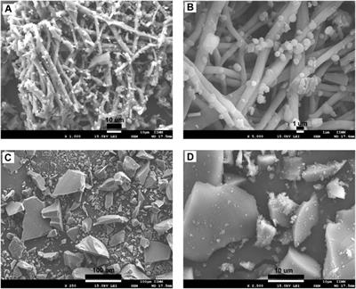 Development of Bioactive Glass-Collagen-Hyaluronic Acid-Polycaprolactone Scaffolds for Tissue Engineering Applications